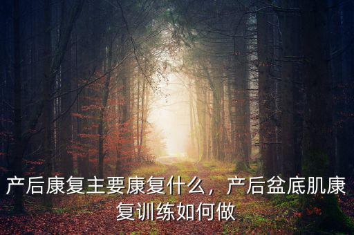 產(chǎn)后康復(fù)主要康復(fù)什么，產(chǎn)后盆底肌康復(fù)訓(xùn)練如何做