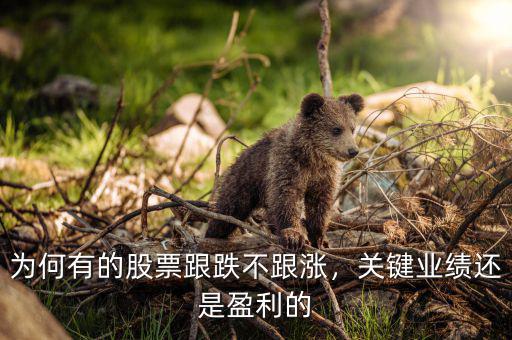 為何有的股票跟跌不跟漲，關(guān)鍵業(yè)績還是盈利的