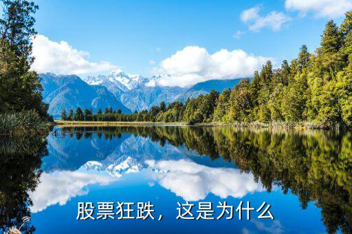 股票狂跌，這是為什么
