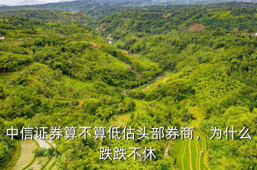 中信證券算不算低估頭部券商，為什么跌跌不休