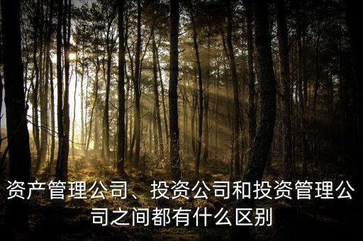 資產(chǎn)管理公司、投資公司和投資管理公司之間都有什么區(qū)別