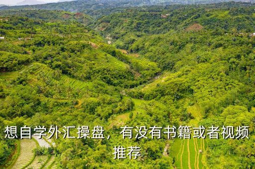 想自學(xué)外匯操盤，有沒有書籍或者視頻推薦