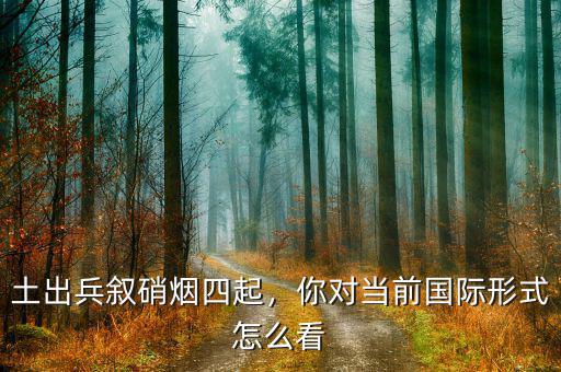 土出兵敘硝煙四起，你對(duì)當(dāng)前國(guó)際形式怎么看