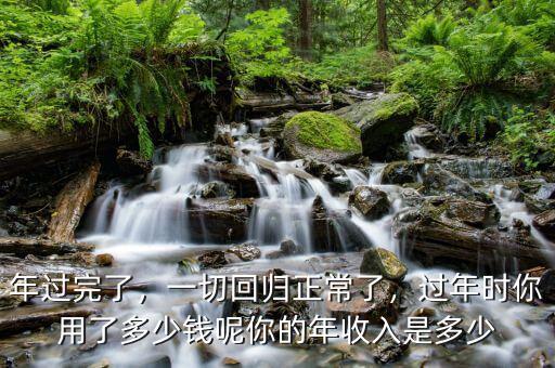 年過完了，一切回歸正常了，過年時你用了多少錢呢你的年收入是多少