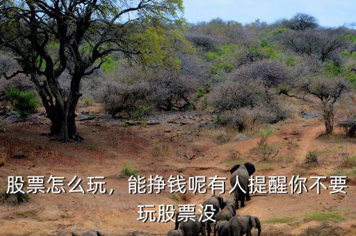 股票怎么玩，能掙錢呢有人提醒你不要玩股票沒