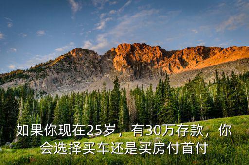 如果你現(xiàn)在25歲，有30萬存款，你會選擇買車還是買房付首付