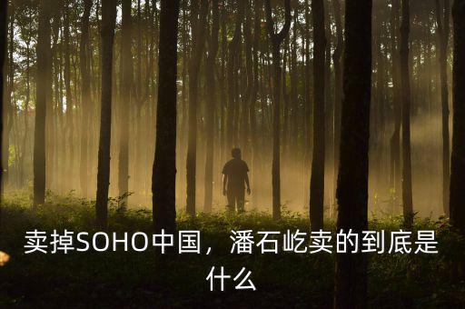 賣掉SOHO中國，潘石屹賣的到底是什么