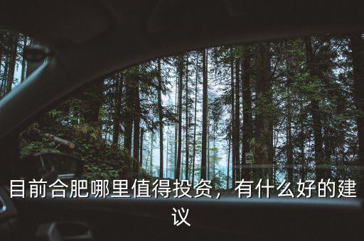 目前合肥哪里值得投資，有什么好的建議