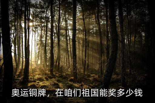 奧運(yùn)銅牌，在咱們祖國(guó)能獎(jiǎng)多少錢(qián)