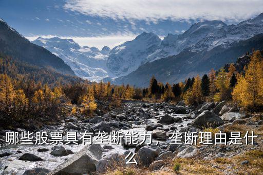 哪些股票具有壟斷能力，壟斷理由是什么
