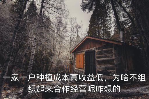 一家一戶種植成本高收益低，為啥不組織起來(lái)合作經(jīng)營(yíng)呢咋想的