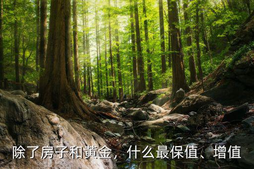 除了房子和黃金，什么最保值、增值