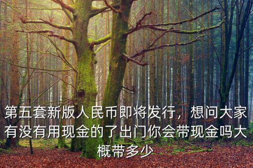 第五套新版人民幣即將發(fā)行，想問大家有沒有用現(xiàn)金的了出門你會帶現(xiàn)金嗎大概帶多少