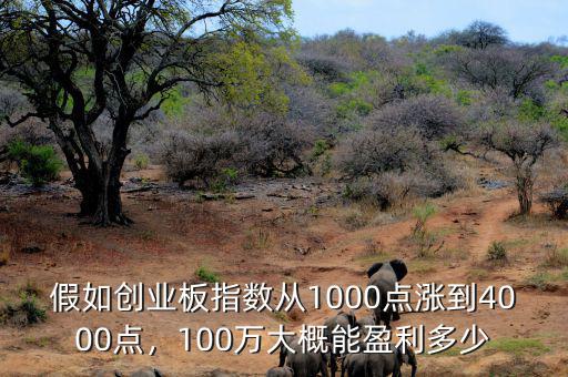 大盤(pán)能漲到多少點(diǎn),A股能漲到多少點(diǎn)