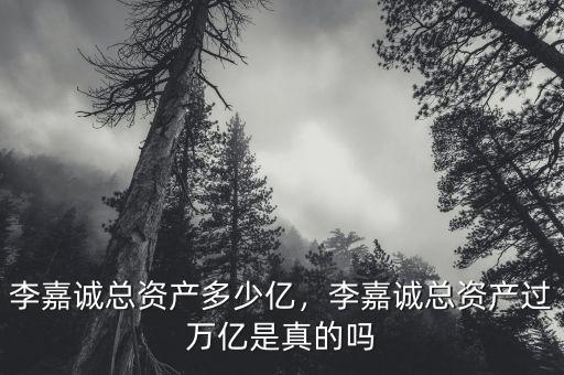 李嘉誠總資產(chǎn)多少億，李嘉誠總資產(chǎn)過萬億是真的嗎