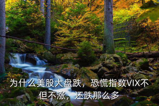 為什么美股大盤跌，恐慌指數(shù)VIX不但不漲，還跌那么多