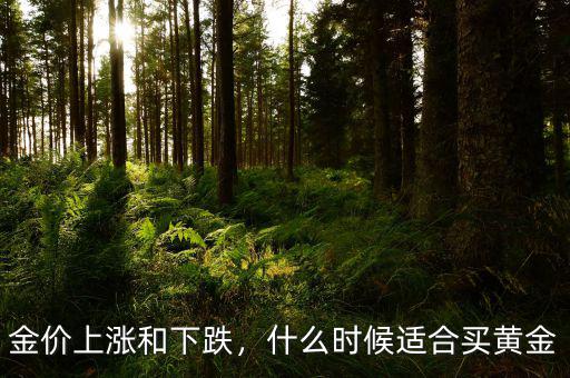 金價上漲和下跌，什么時候適合買黃金