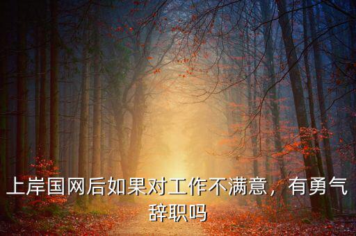 上岸國網后如果對工作不滿意，有勇氣辭職嗎