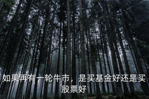 如果再有一輪牛市，是買基金好還是買股票好