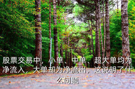 股票交易中，小單、中單、超大單均為凈流入，大單卻為凈流出，這說(shuō)明了什么問題