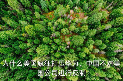 為什么美國(guó)瘋狂打壓華為，中國(guó)不對(duì)美國(guó)公司進(jìn)行反制