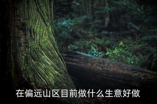 偏遠(yuǎn)城市做什么項(xiàng)目,可用5年。做什么項(xiàng)目好呢