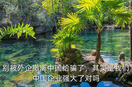 別被外企撤離中國給騙了，其實是我們中國企業(yè)強大了對嗎
