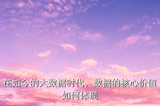 在如今的大數(shù)據(jù)時(shí)代，數(shù)據(jù)的核心價(jià)值如何體現(xiàn)