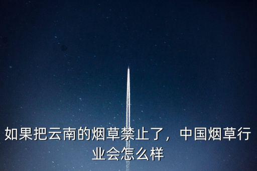 如果把云南的煙草禁止了，中國煙草行業(yè)會怎么樣