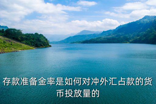 貨幣是怎么投放的,完善基礎貨幣投放機制的含義