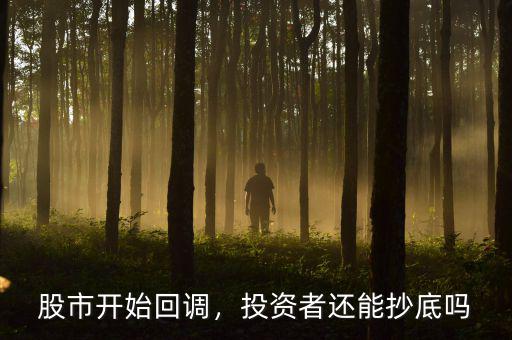 股市開(kāi)始回調(diào)，投資者還能抄底嗎