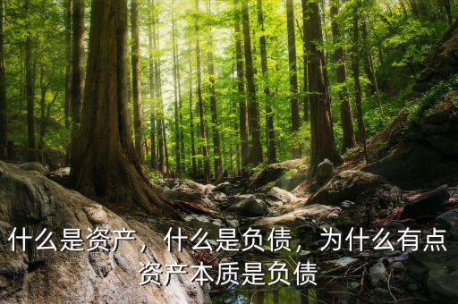 什么是資產(chǎn)，什么是負(fù)債，為什么有點資產(chǎn)本質(zhì)是負(fù)債