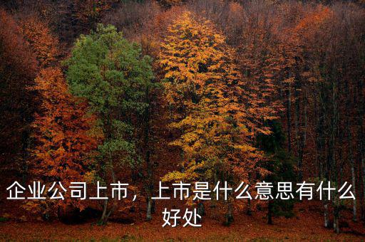 企業(yè)公司上市，上市是什么意思有什么好處