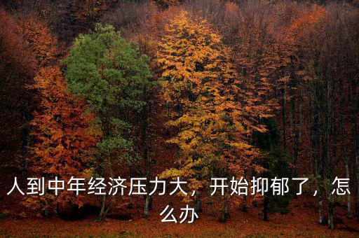 人到中年經(jīng)濟(jì)壓力大，開始抑郁了，怎么辦
