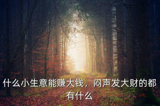 什么小生意能賺大錢，悶聲發(fā)大財?shù)亩加惺裁? class=