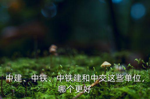 中建、中鐵、中鐵建和中交這些單位，哪個(gè)更好