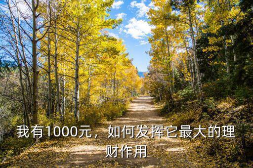 我有1000元，如何發(fā)揮它最大的理財(cái)作用