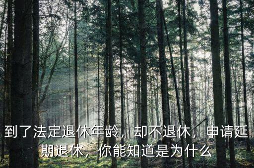 到了法定退休年齡，卻不退休，申請延期退休，你能知道是為什么