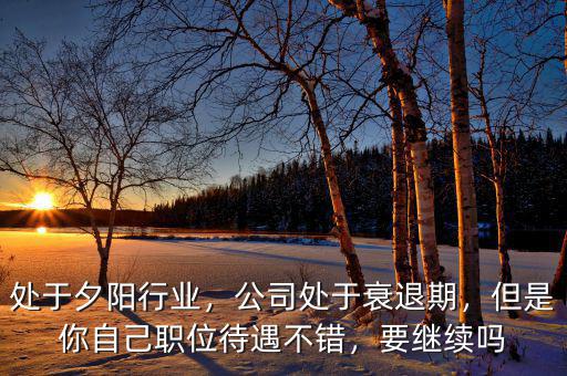 處于夕陽行業(yè)，公司處于衰退期，但是你自己職位待遇不錯(cuò)，要繼續(xù)嗎