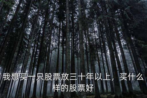我想買一只股票放三十年以上，買什么樣的股票好