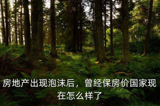 房地產出現(xiàn)泡沫后，曾經保房價國家現(xiàn)在怎么樣了