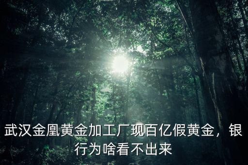 武漢金凰黃金加工廠現(xiàn)百億假黃金，銀行為啥看不出來