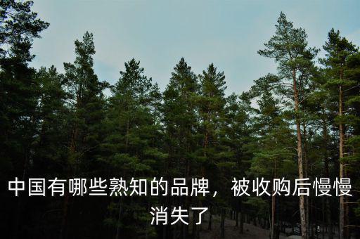 中國(guó)有哪些熟知的品牌，被收購后慢慢消失了
