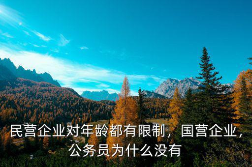 民營企業(yè)對年齡都有限制，國營企業(yè)，公務(wù)員為什么沒有