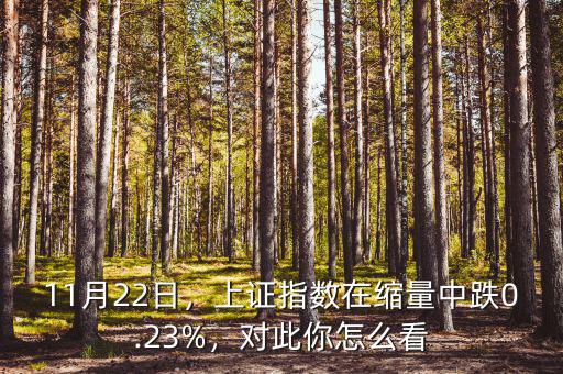 11月22日，上證指數(shù)在縮量中跌0.23%，對此你怎么看