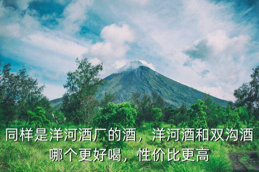 同樣是洋河酒廠的酒，洋河酒和雙溝酒哪個(gè)更好喝，性價(jià)比更高