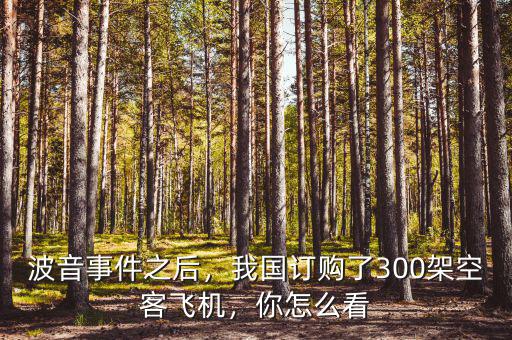 波音事件之后，我國訂購了300架空客飛機(jī)，你怎么看