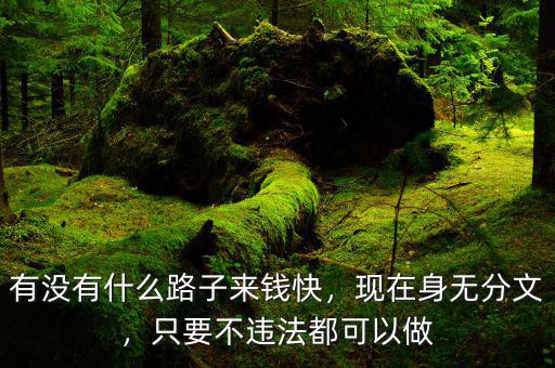 有沒有什么路子來錢快，現(xiàn)在身無分文，只要不違法都可以做
