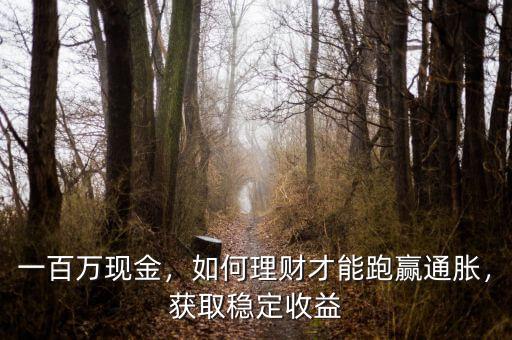 一百萬現(xiàn)金，如何理財(cái)才能跑贏通脹，獲取穩(wěn)定收益