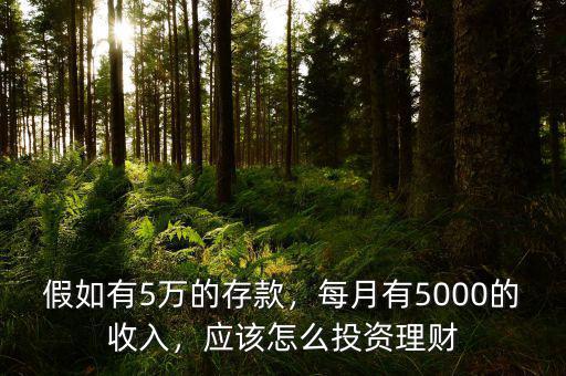 假如有5萬的存款，每月有5000的收入，應(yīng)該怎么投資理財